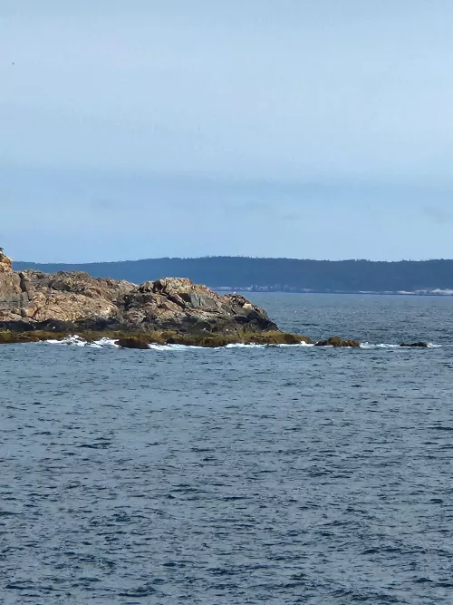 Good morning from Bar Harbor Maine by Intelligent-Cable-43