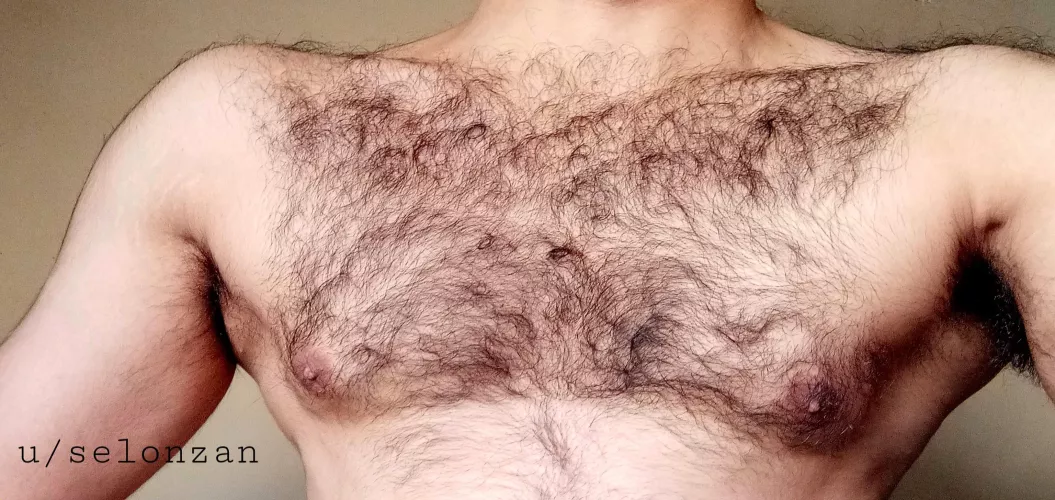 Hi👋..bi m(24)..(chest pic) by selonzan