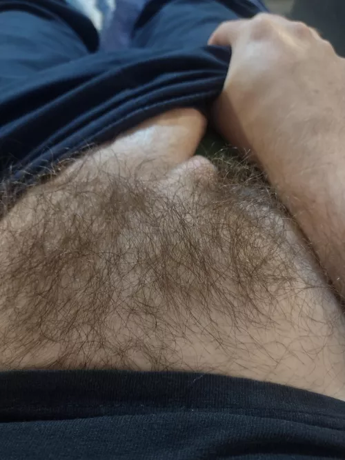 Hows my bush looking? by Different_Vacation68