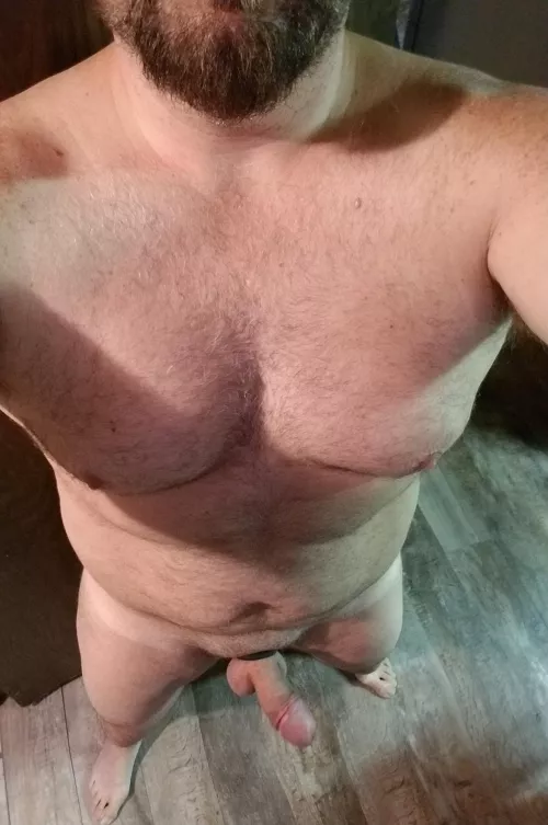 michigan 269 by Lumpy-Release69