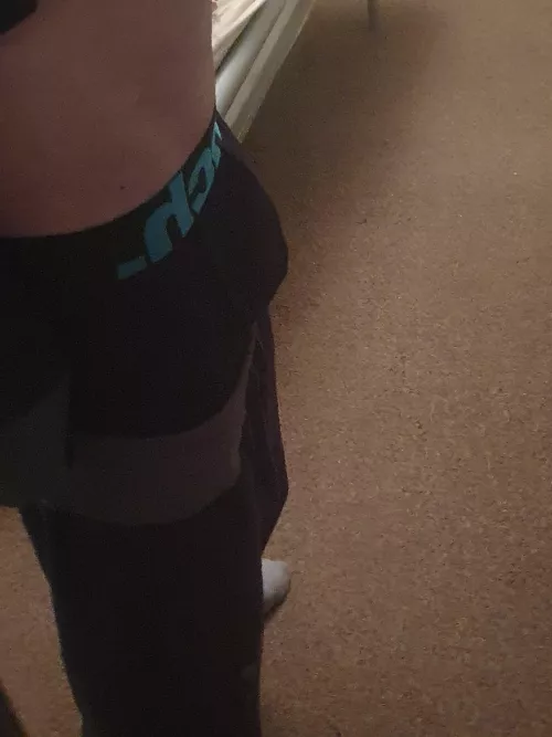 My boxers from the side! by Chemical-Worker-1224