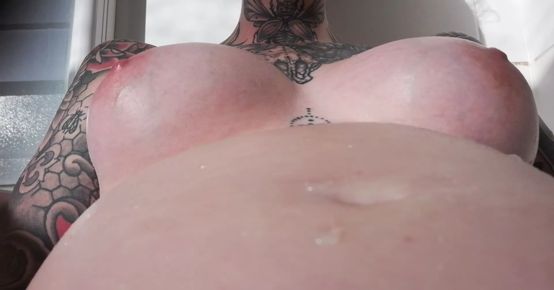 My pregnant swollen tits posted by jamesdoe666