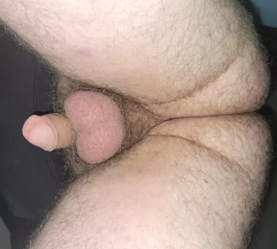 Nice view? by lild692008