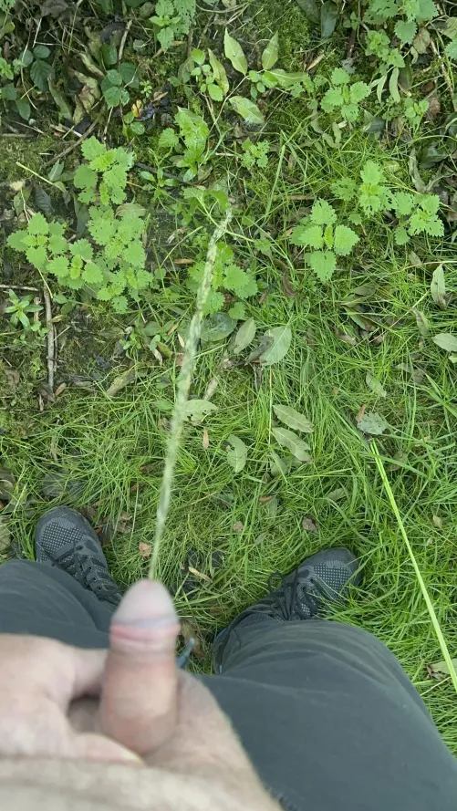 Out in the wild (51) by bimac72