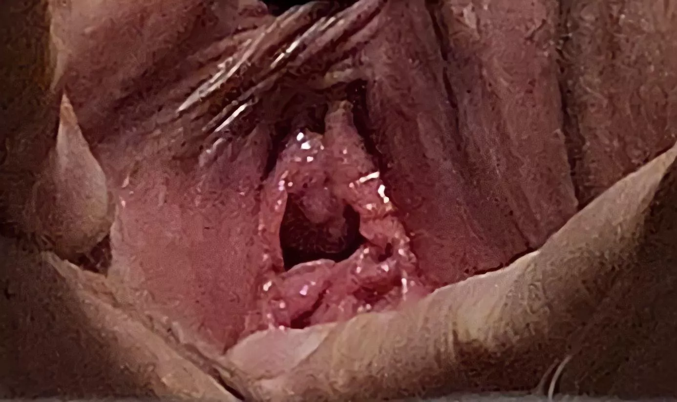 She's always ready for more! posted by David_W_S