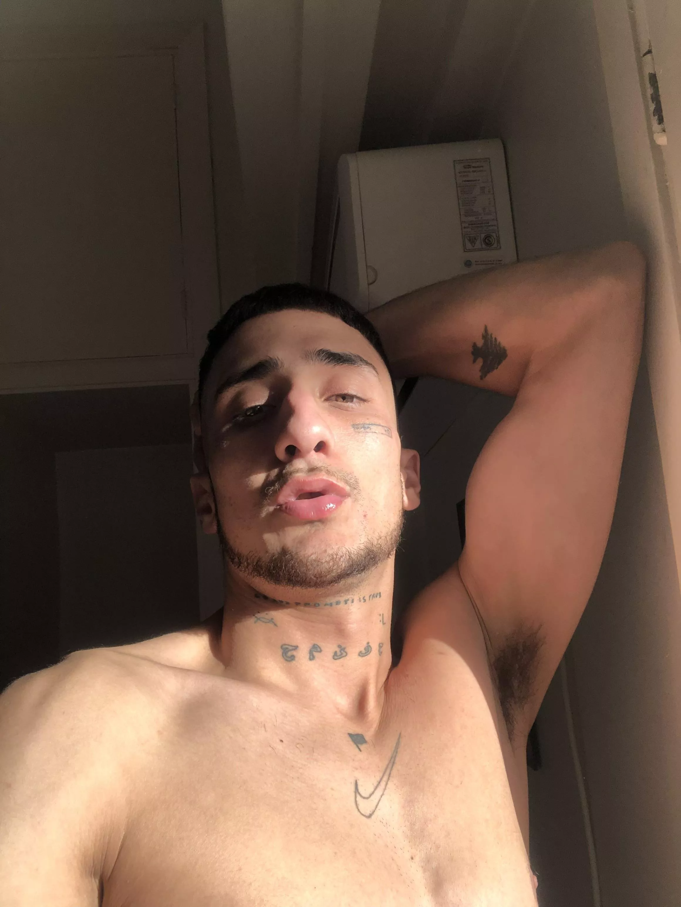 Smash or pass? posted by fardamn