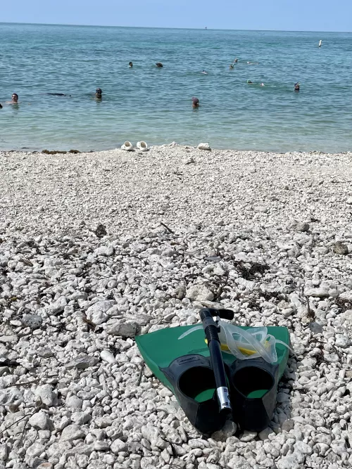 Snorkeling the Keys by StarryBlondeNights