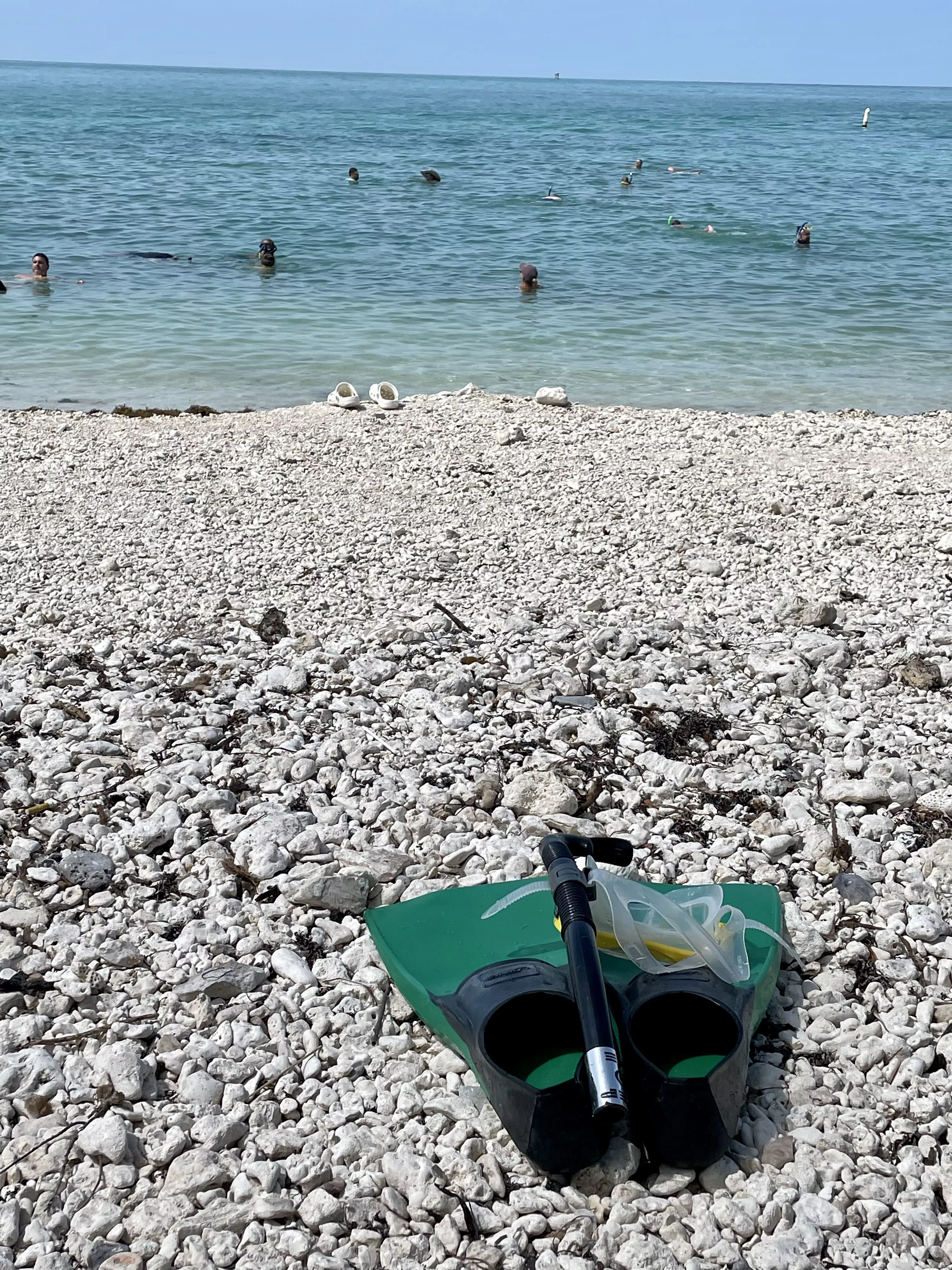 Snorkeling the Keys posted by StarryBlondeNights