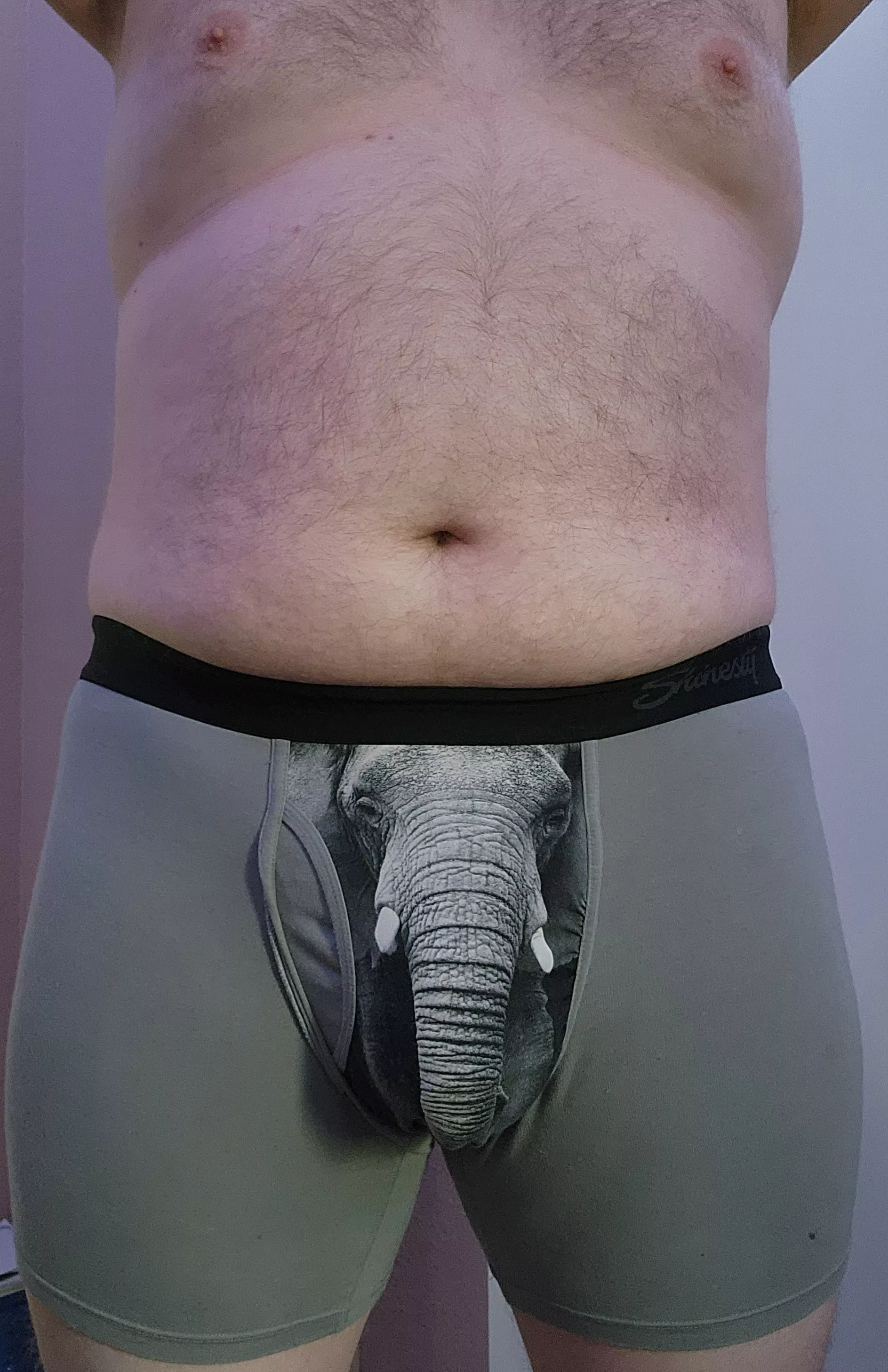 An elephant never something something... posted by Dadbodtossaway