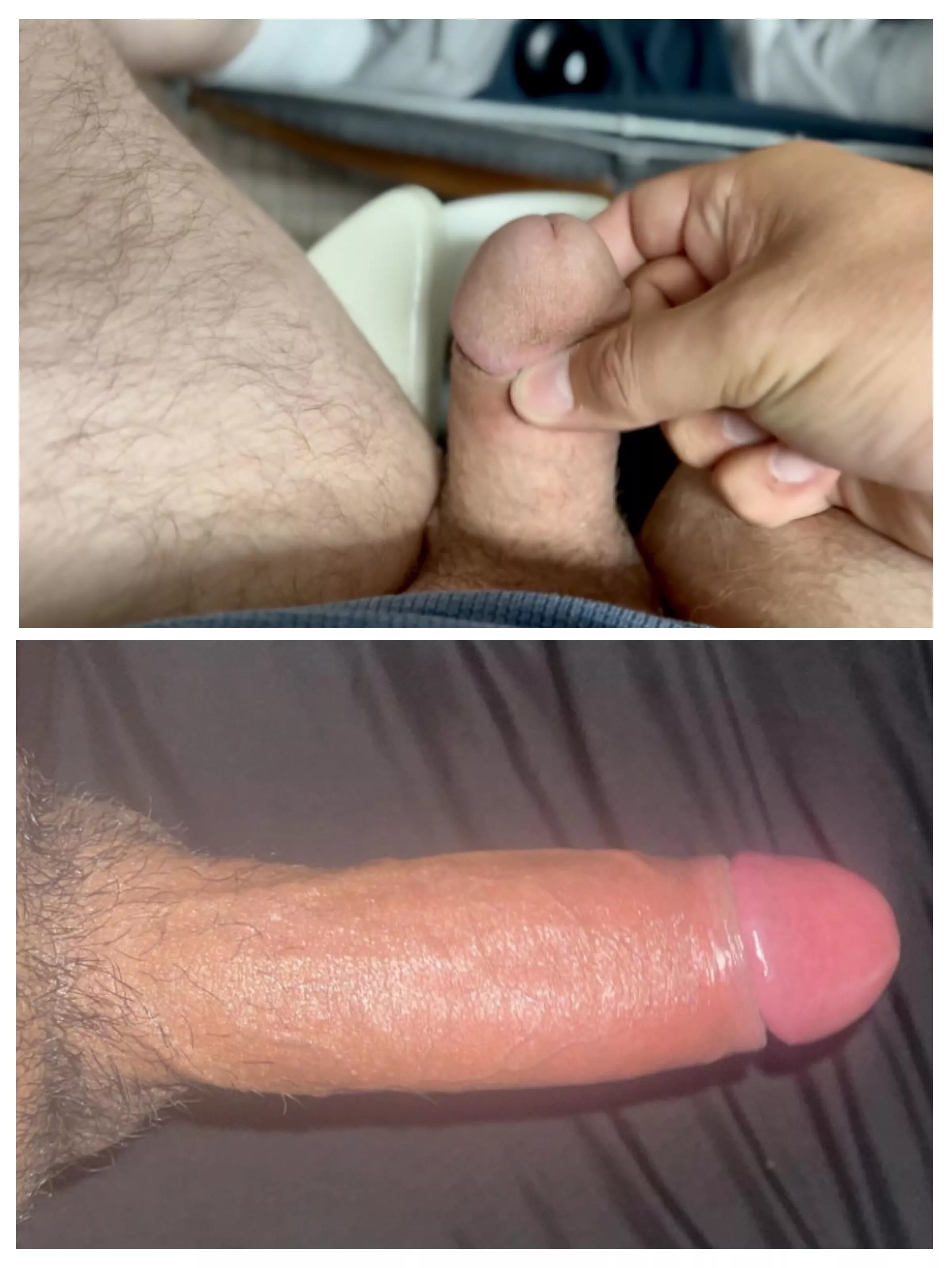 Big dick bull commanded me to compare posted by nick_____dipples