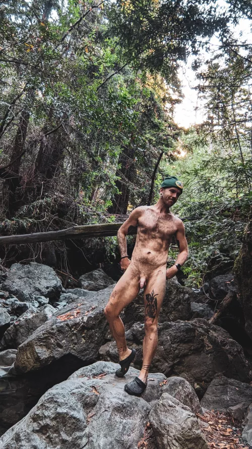 Big Sur Stuff by theprimeprof