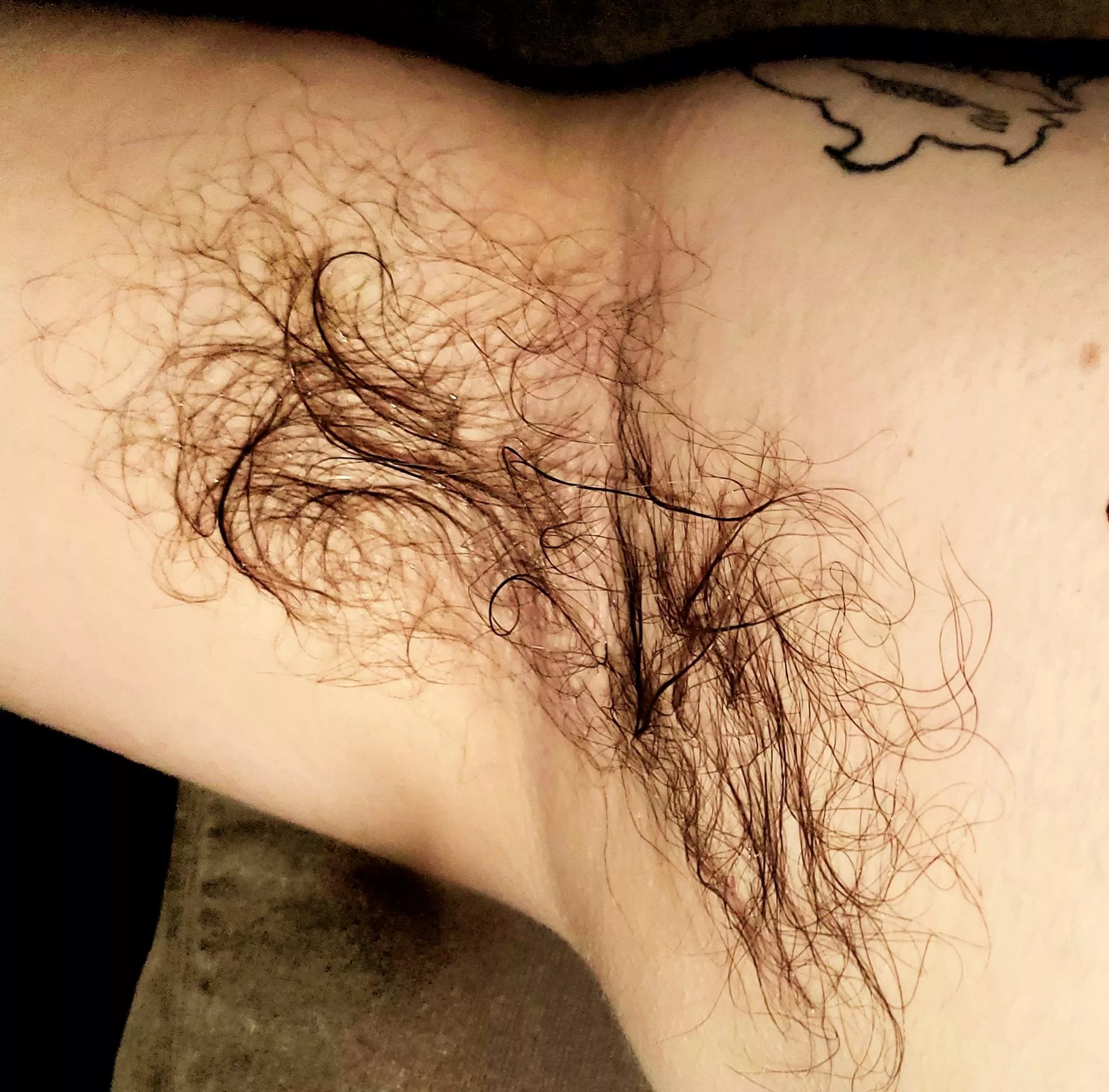 Dad's pit posted by AppropriateCamel8867