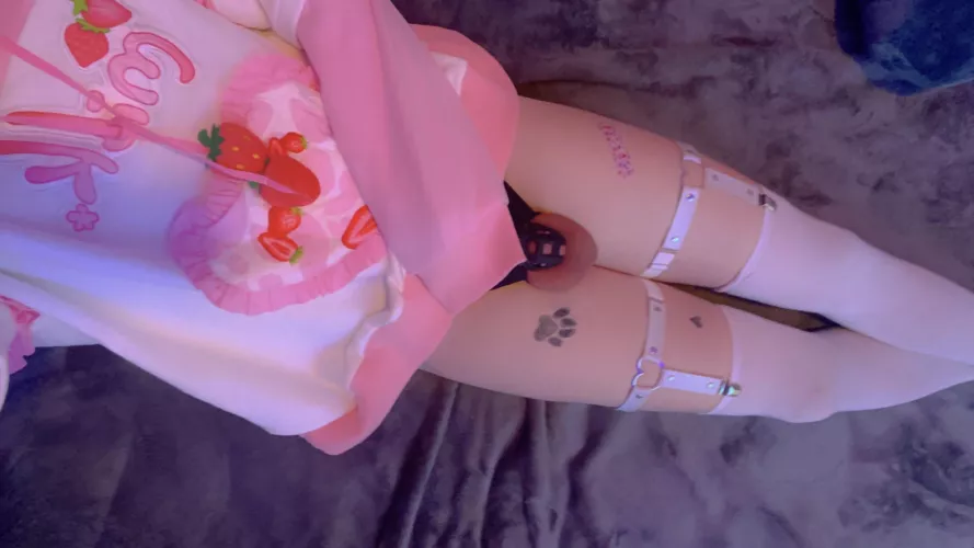 had to join all the caged cuties i keep seeing on my feed by skiepuppyboy