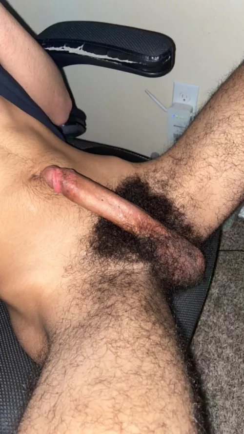 hairy gaymer dick by pookie-png