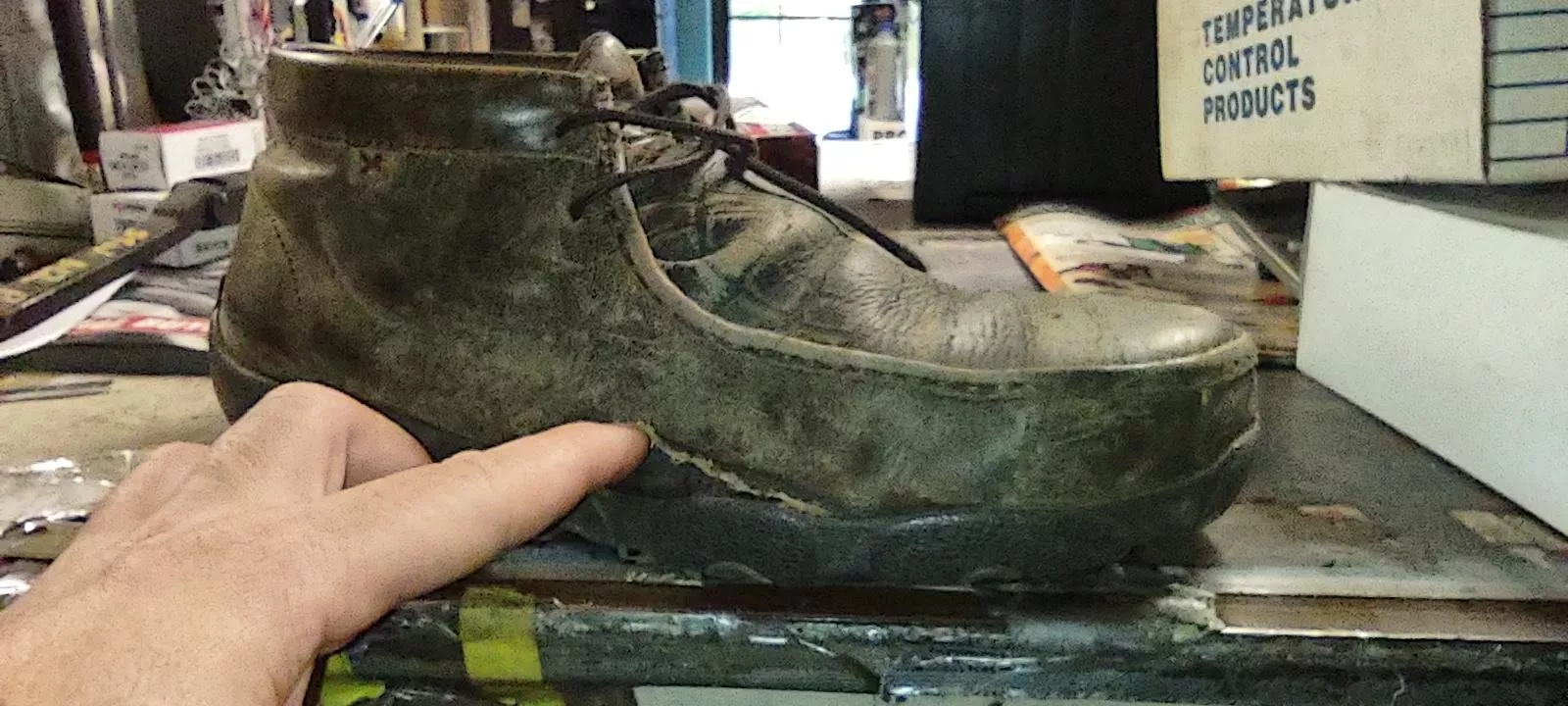 How long should a pair of chukka's last? posted by Killcam_Express