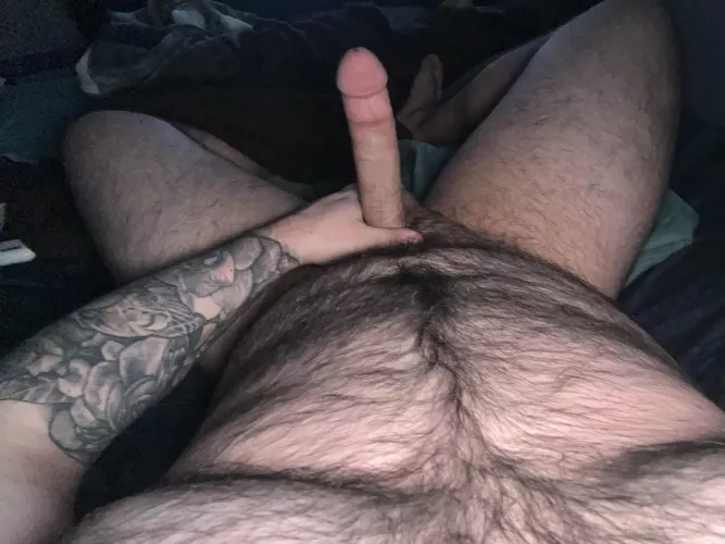 Just your average chubby texan by funkstr10