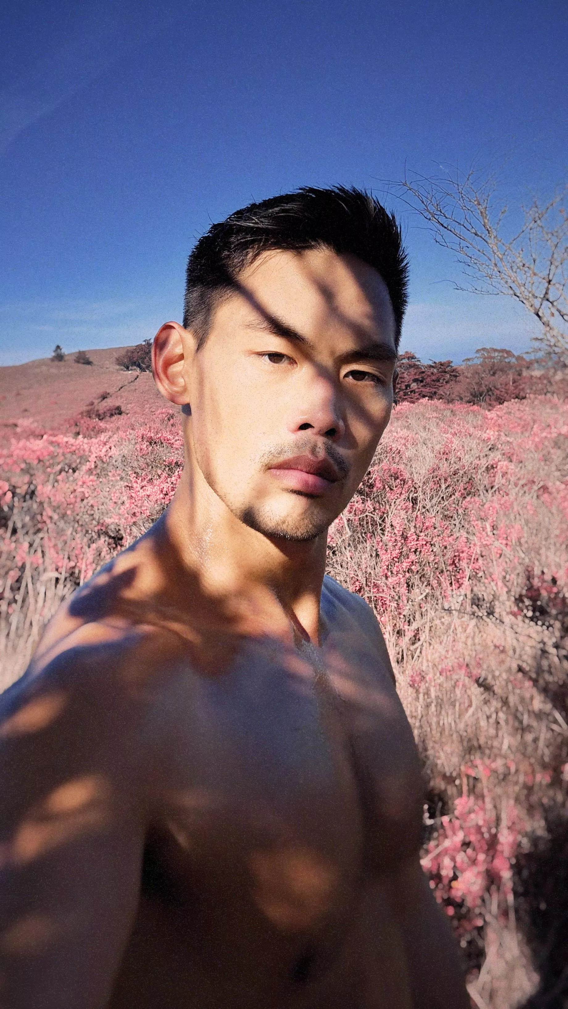 [self] went hiking posted by eddieying