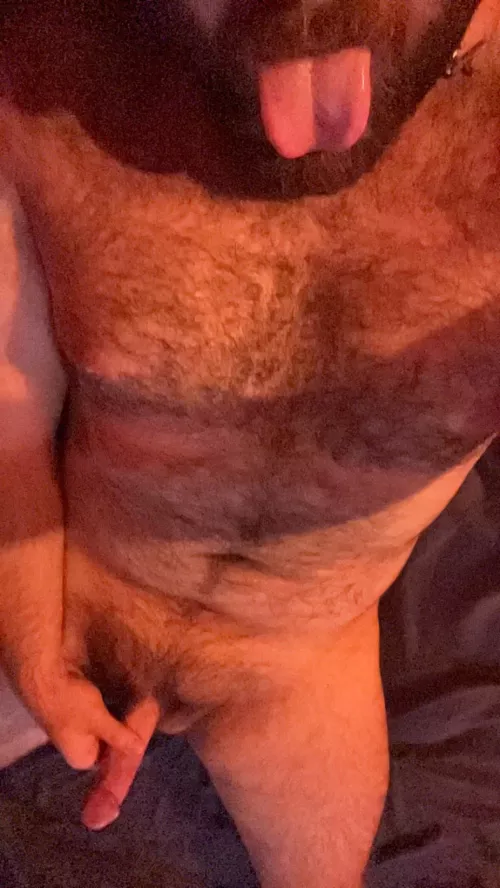 Where are you sitting? by Bbw_Lover28