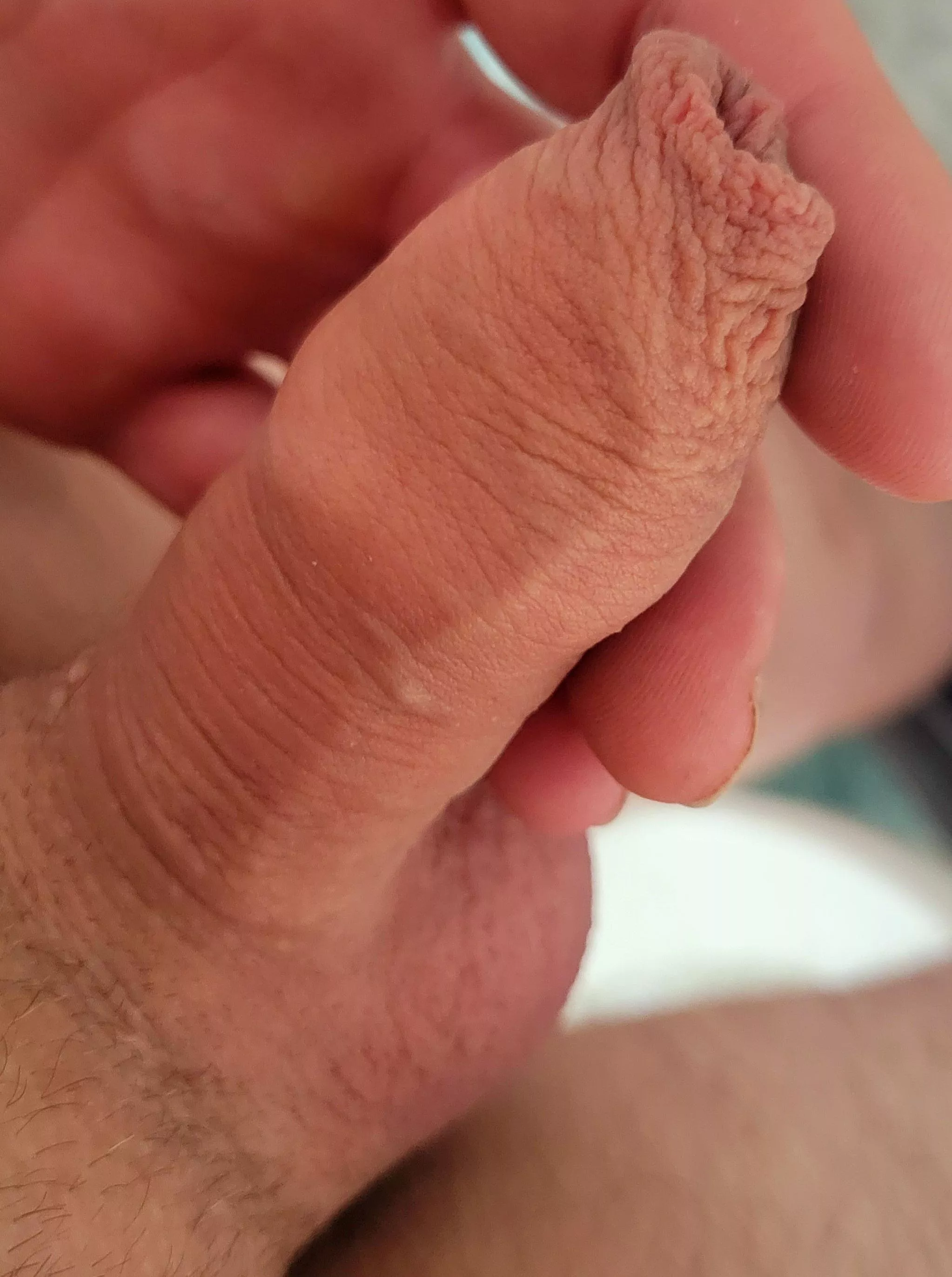 Another up close posted by tinroof22