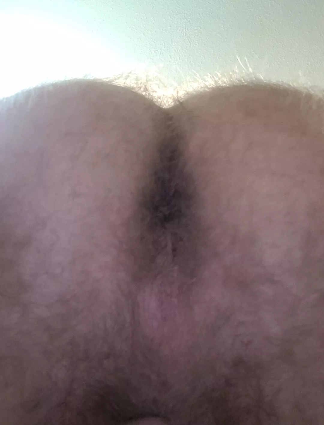 Anyone like hairy dad ass? posted by wildwildjoe