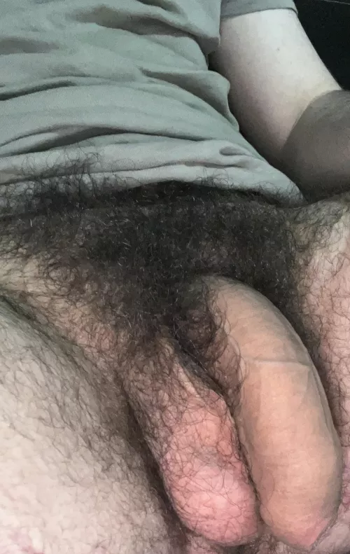 Can you handle my big wild bush?😏🍆Dms open😈 by HungYoungAlpha-