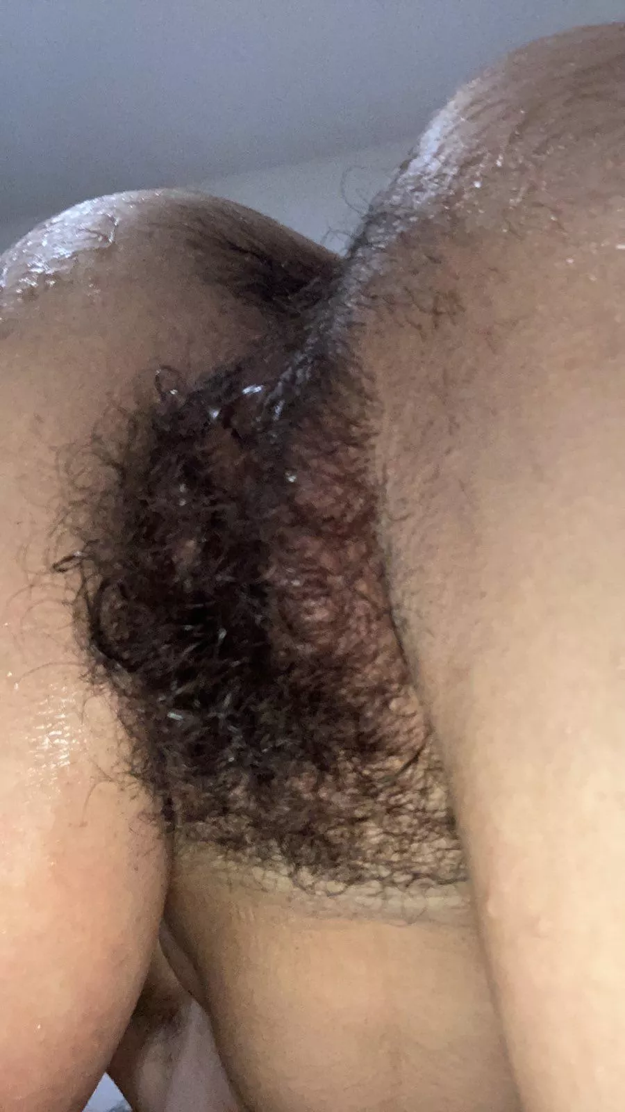 I [h]eard you like it hairy posted by lickedyslit