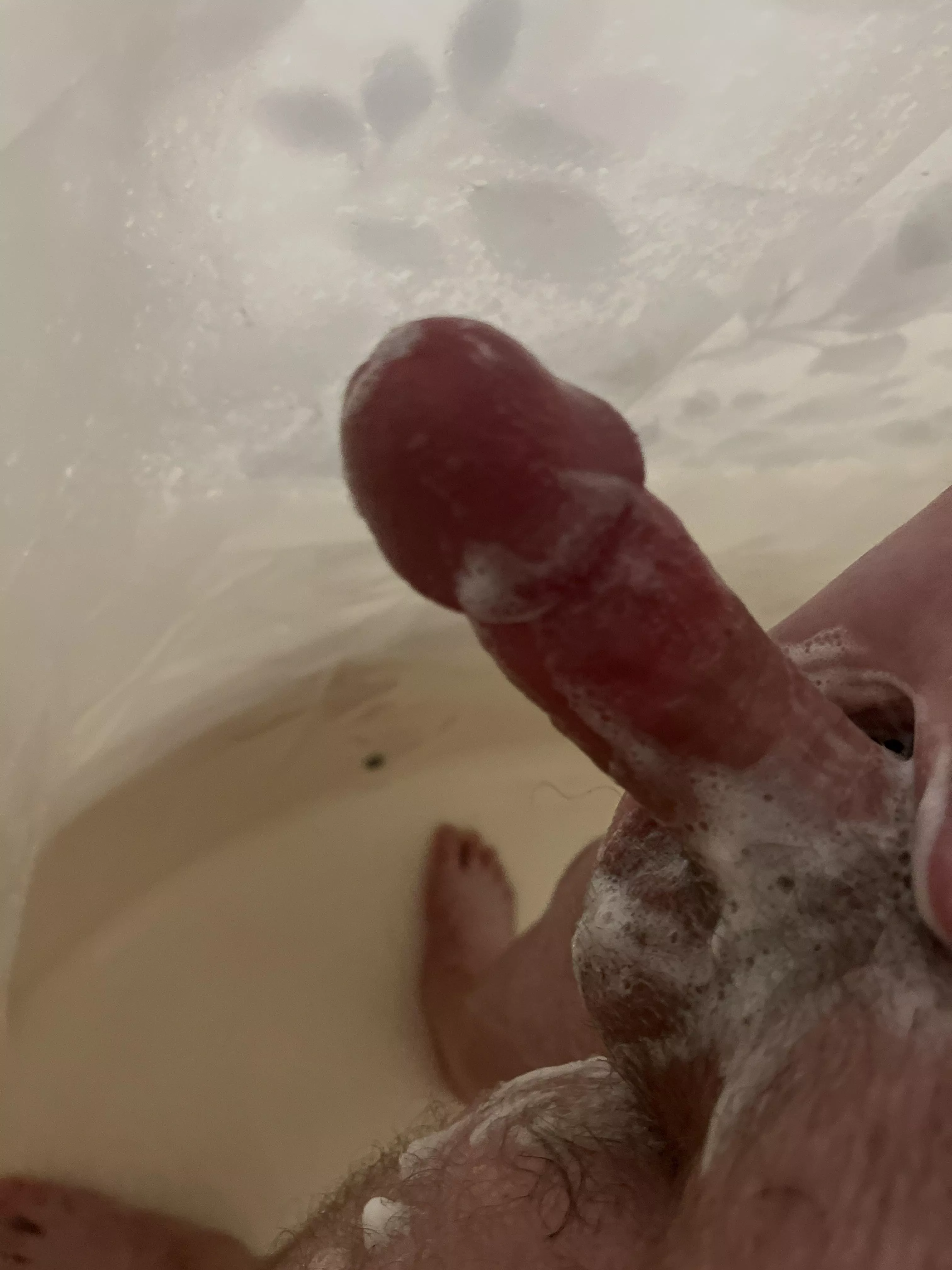 Needing to know what a couple feels like… posted by ZDubbb817