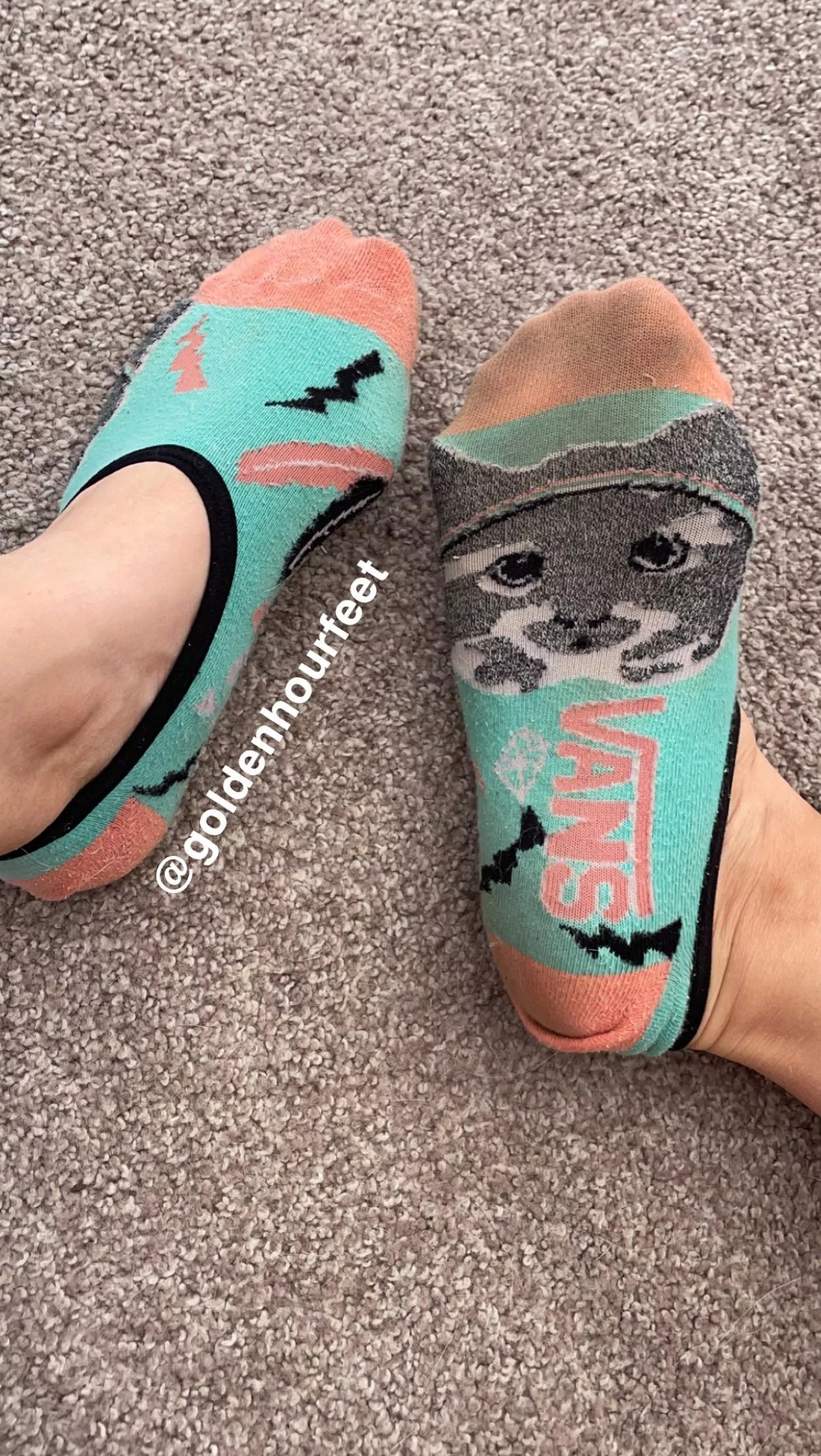 No show socks not featured in my drawer, but up for grabs if you wanna claim them💘 posted by goldenhourfeet