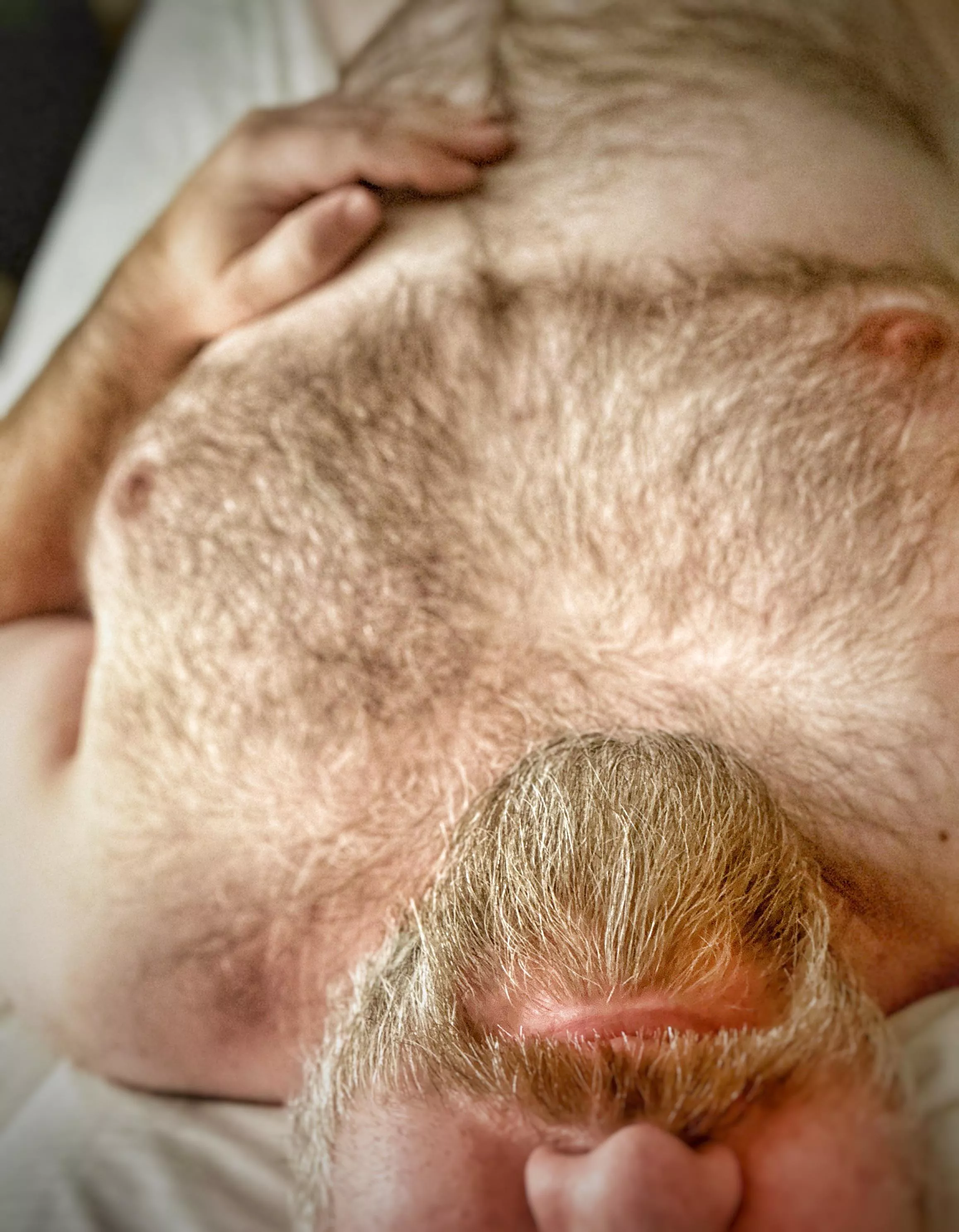 So… are you going to make me get up out of bed, or do you have other plans? posted by its_i-gor