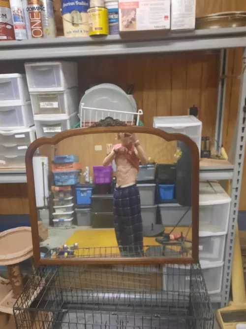 These mornings are too cold, come warm me up? by Al3xandritee