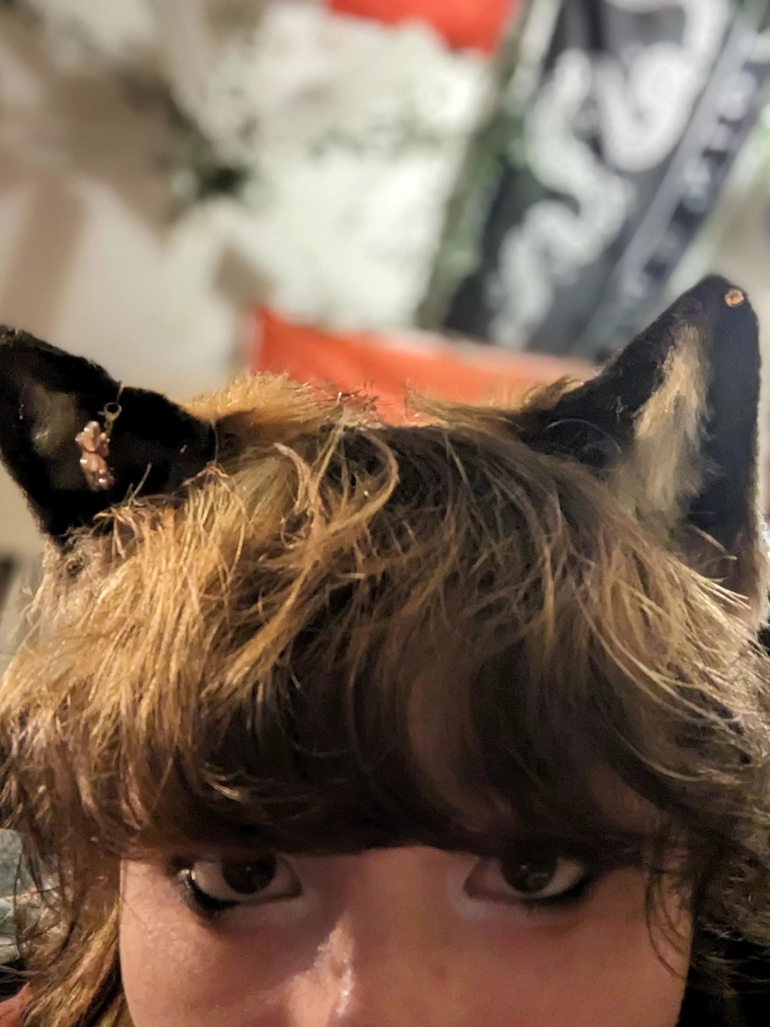 What ya eatin posted by Lil_Peachy_Fox