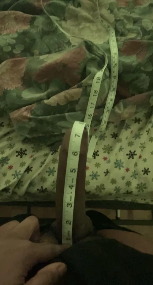 8 inches measured by WxvyKJ