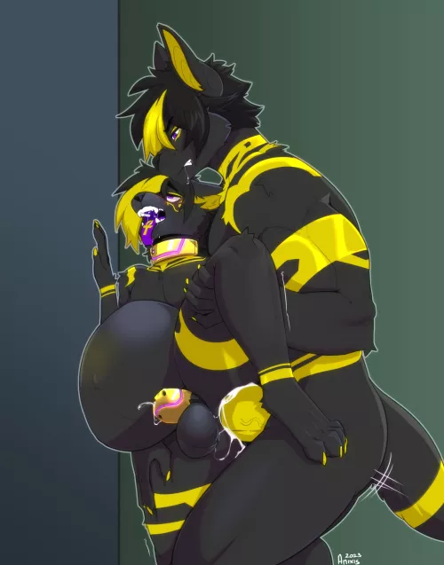 Caged and filled (Anixis) by lovvc