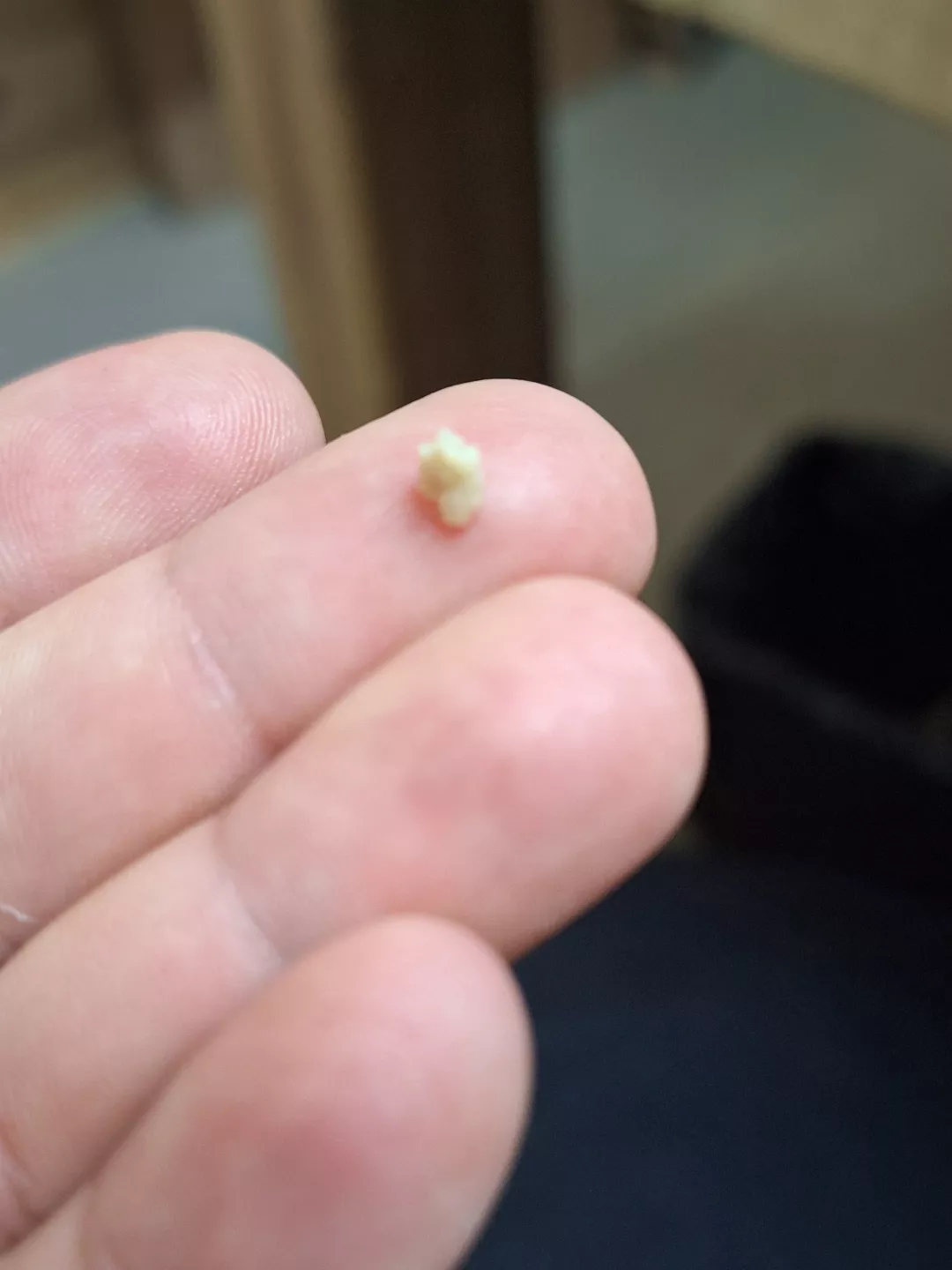 coughed off a surprise posted by the_rat_monarch