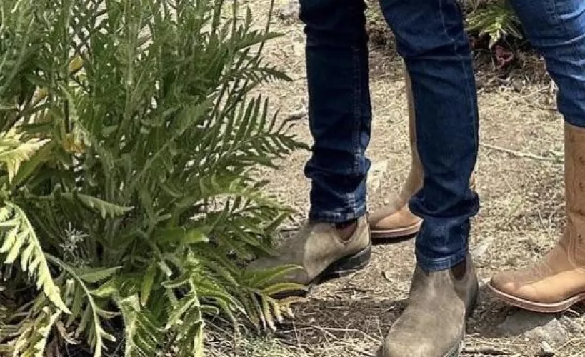 What Brand of Chelsea’s Are These by ZekeChoke