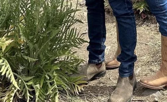 What Brand of Chelsea’s Are These posted by ZekeChoke