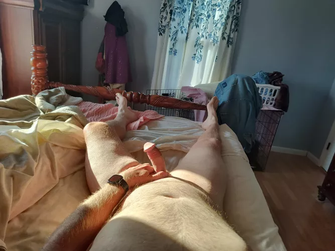 (56) takin in the morning sun by bandit65957