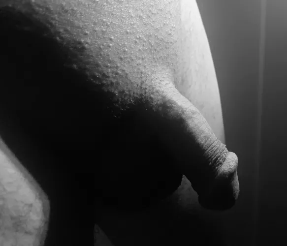 An early morning glimpse by hiddendownlow