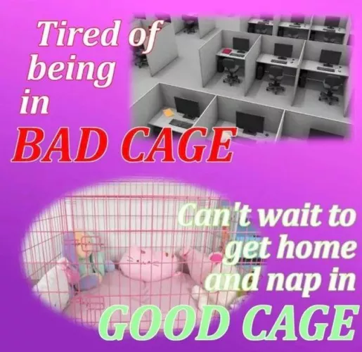 Anyone wanna provide? I promise I’ll be good by superdroid72