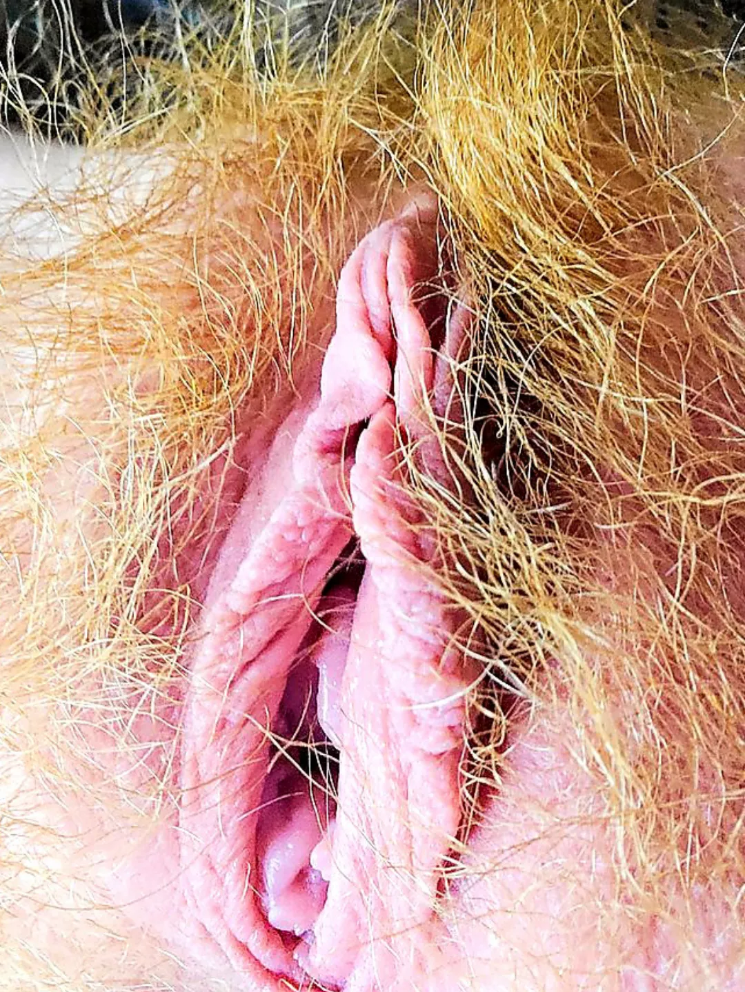 Do you want a taste posted by ababypinecone