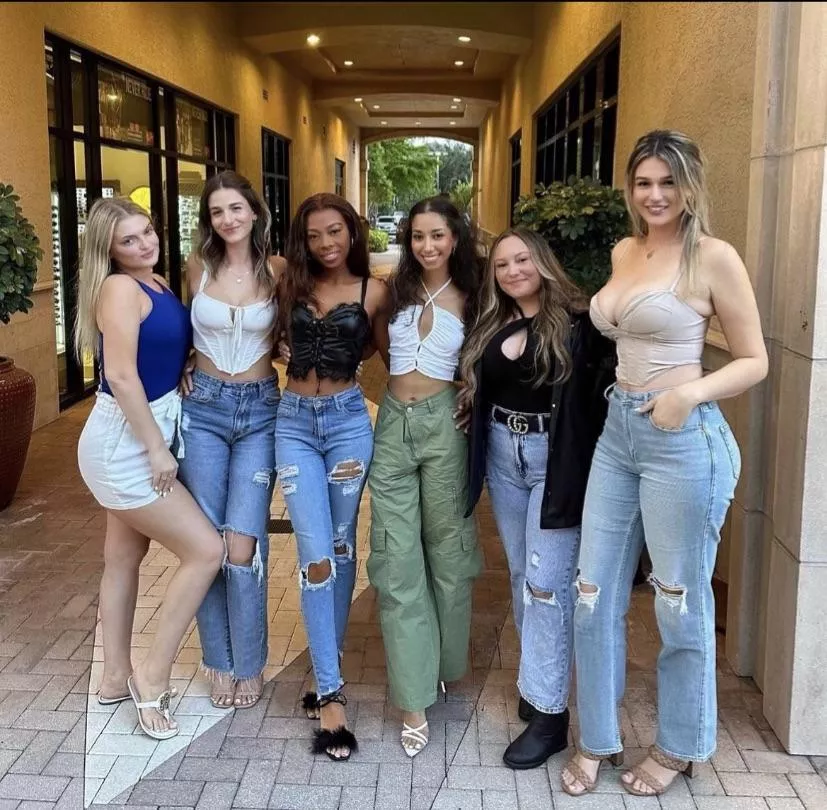 She gets all the attention posted by External_Algae_4264