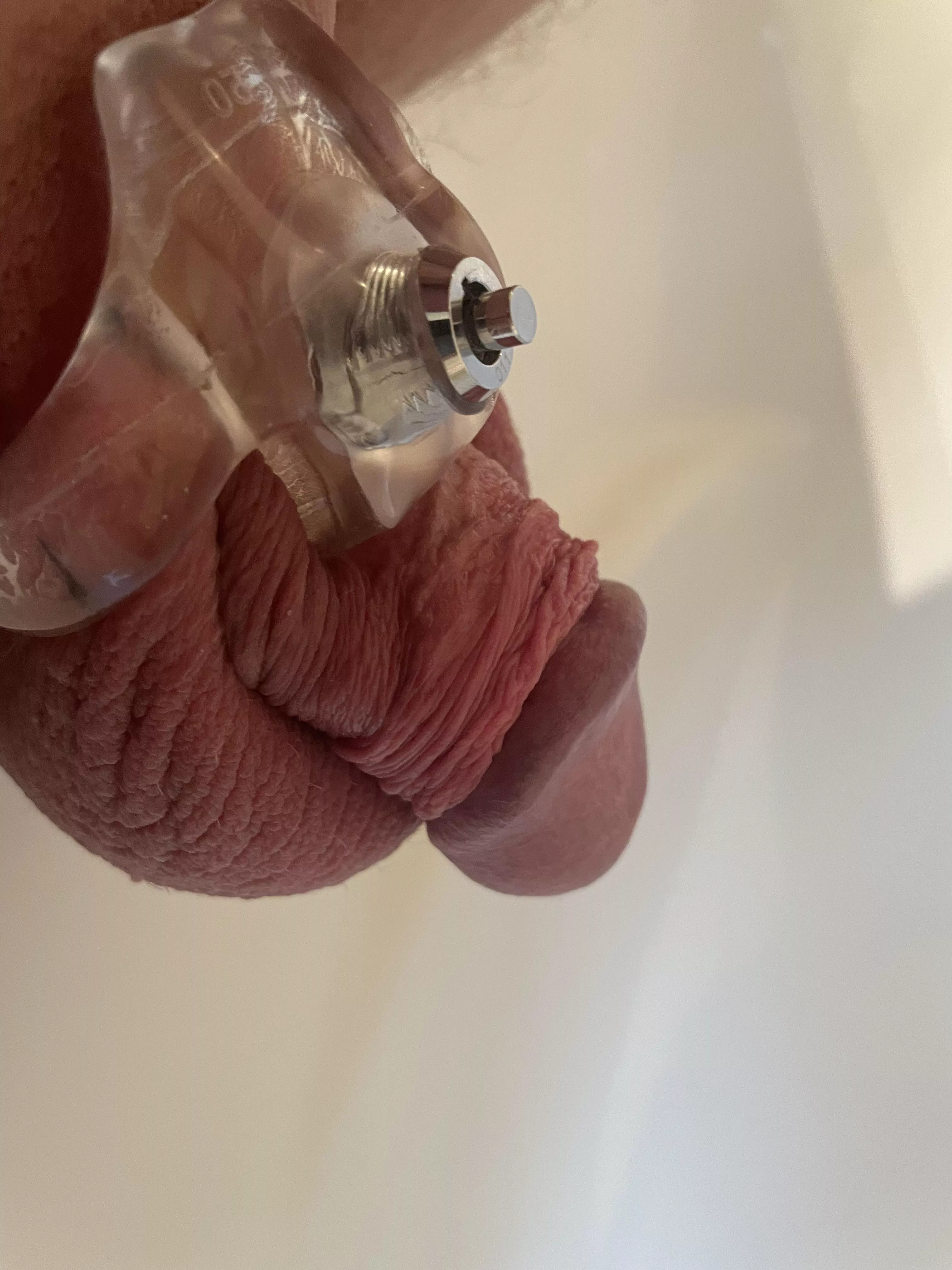 Small cocks have to be caged, have to be humiliated, have to be submissive and only opened for hygiene😊 posted by Zyxdelux