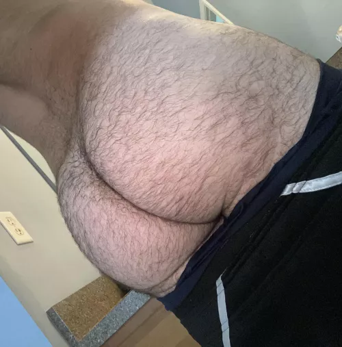 24 in shape furry DL Arab bottom. ☺️ Add my Snapp: FurFun204 by furfun204