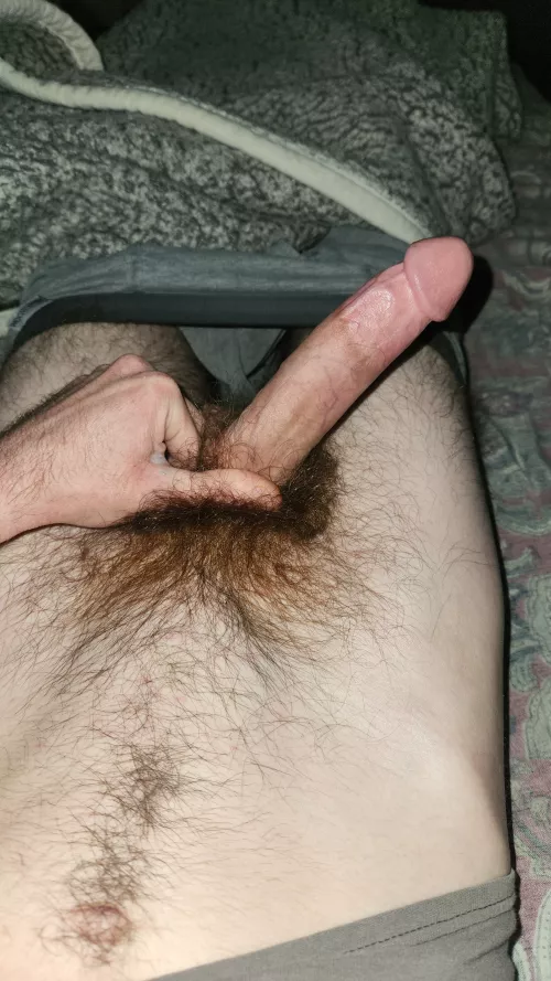 29 snap - steveo-whiteboy by steveowhiteboy