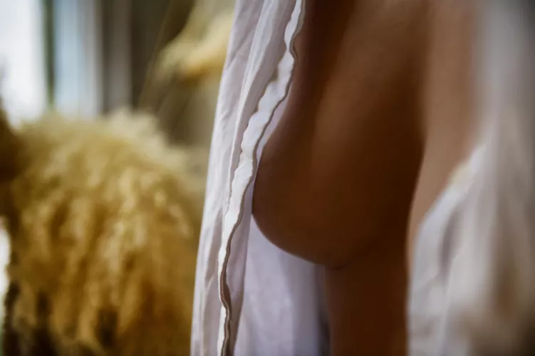 autumnal light by MalinaWhispers