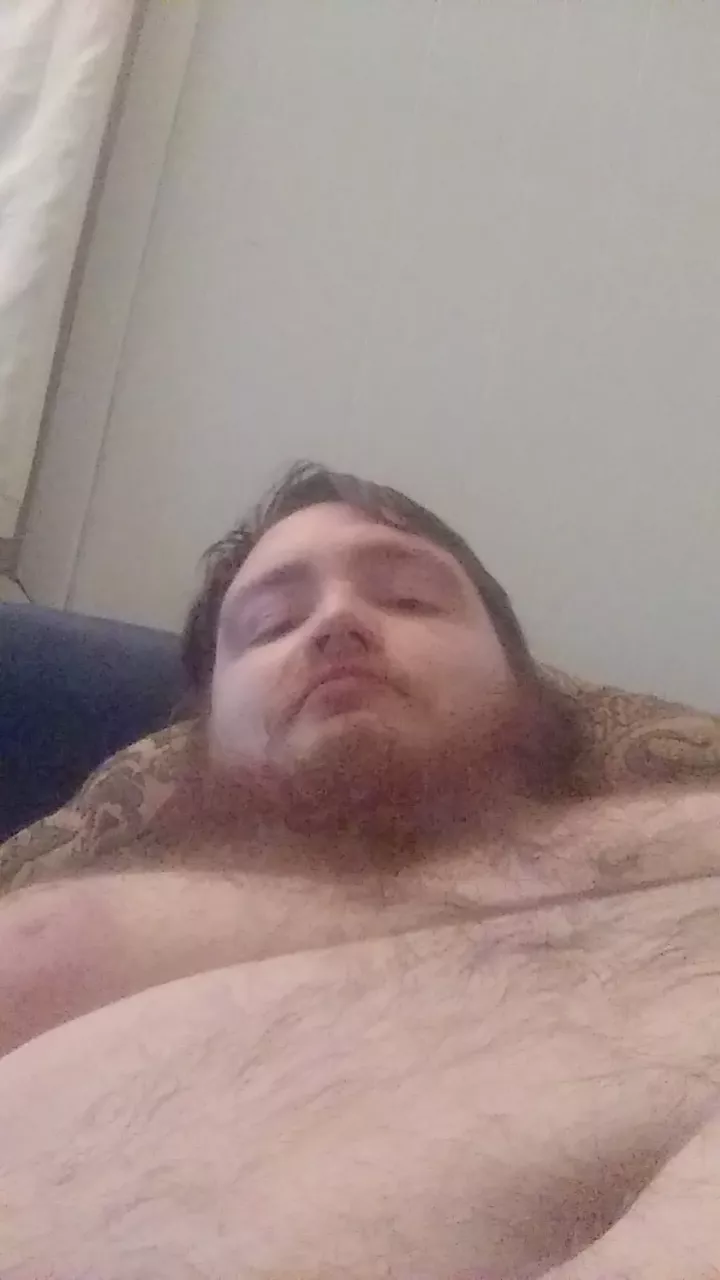 Big and tall for ladies and twinks posted by Imnotataxi