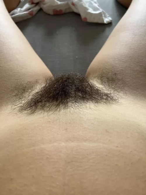 Do you think I need a trim? 11 month untouched bush by ariannafuckiss