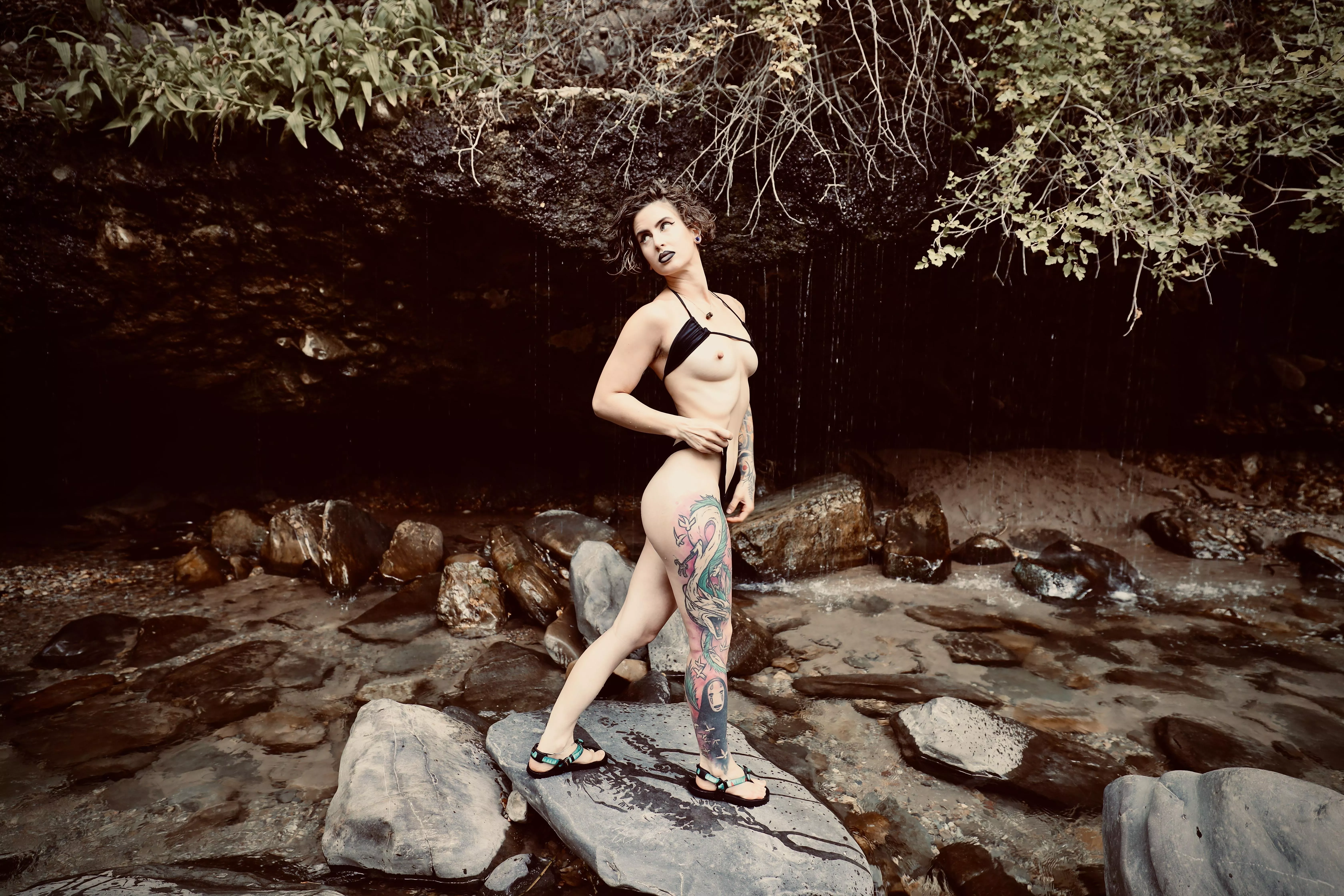 Faery in the Forest posted by drtywlf