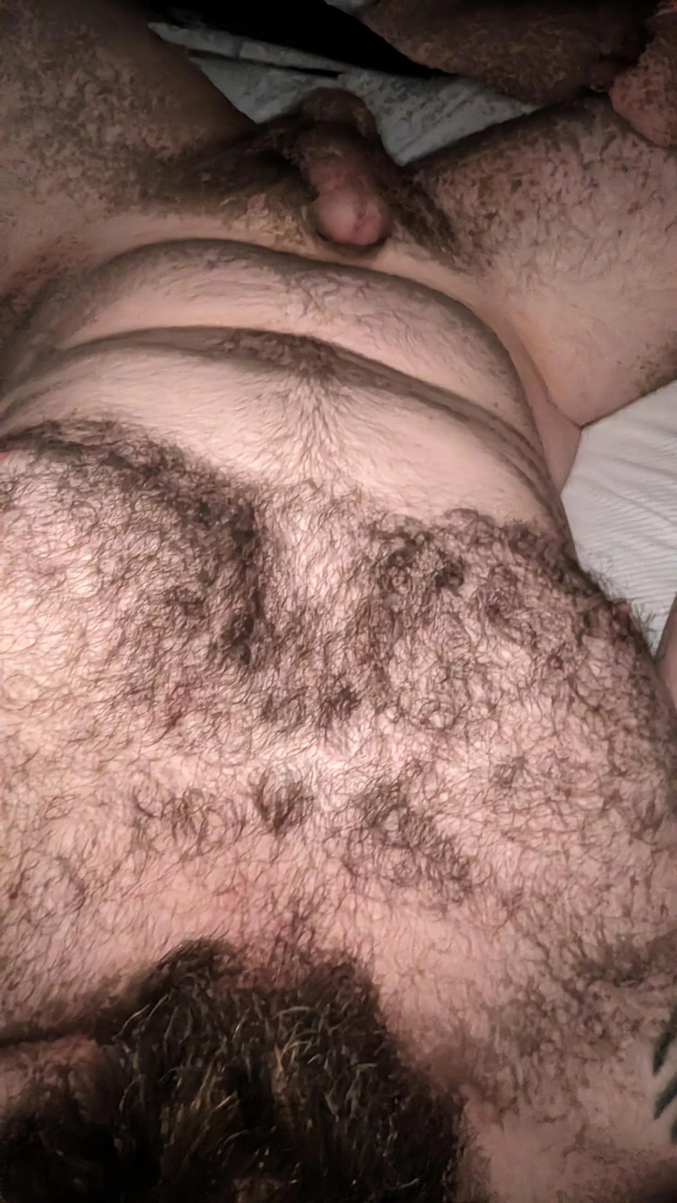 Good morning posted by whatarewedoinghere42