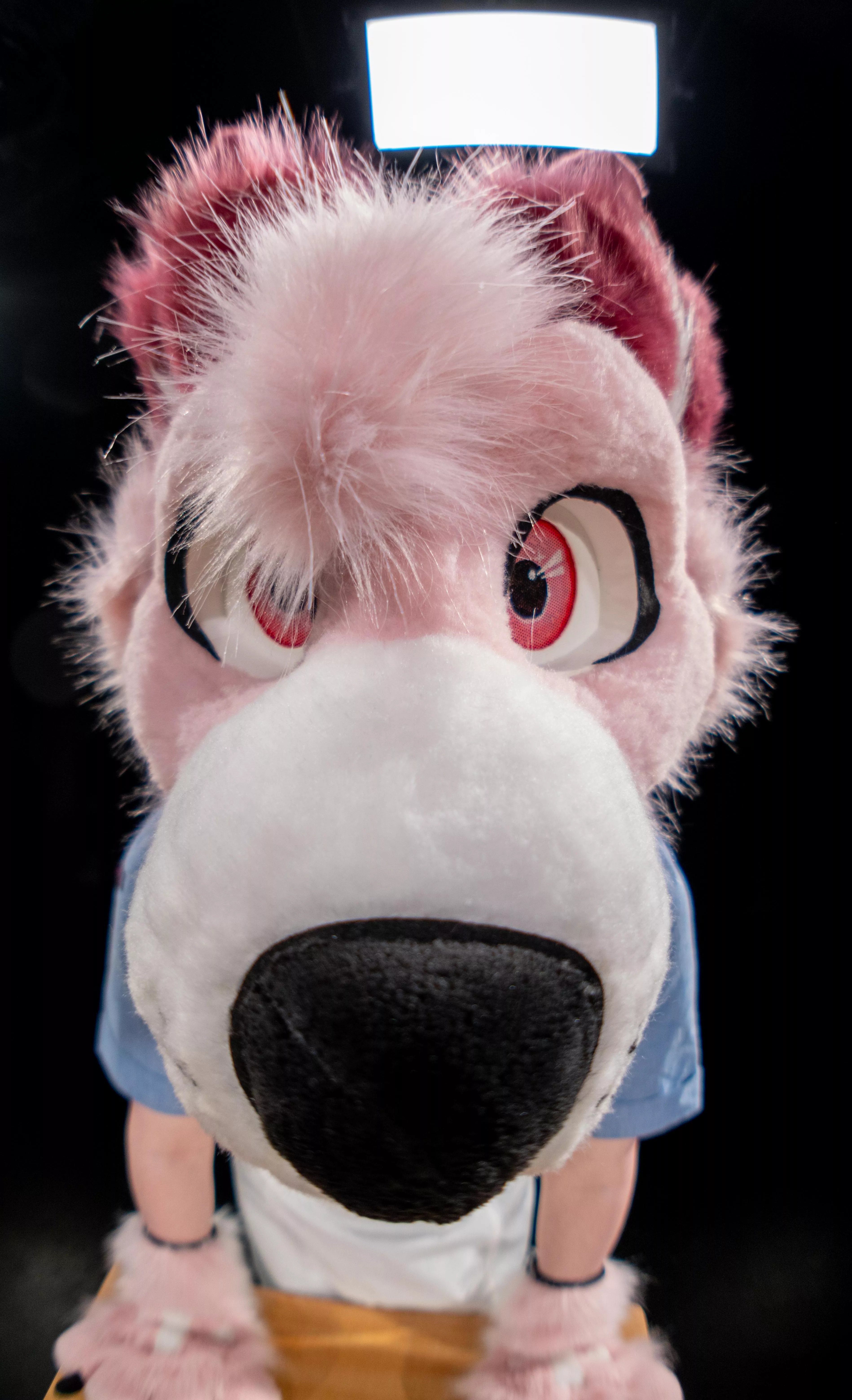 I smell shenanigans posted by shadowfoxboy